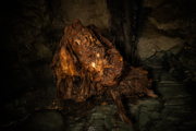 Loch Ness Experience Gargoyle Log