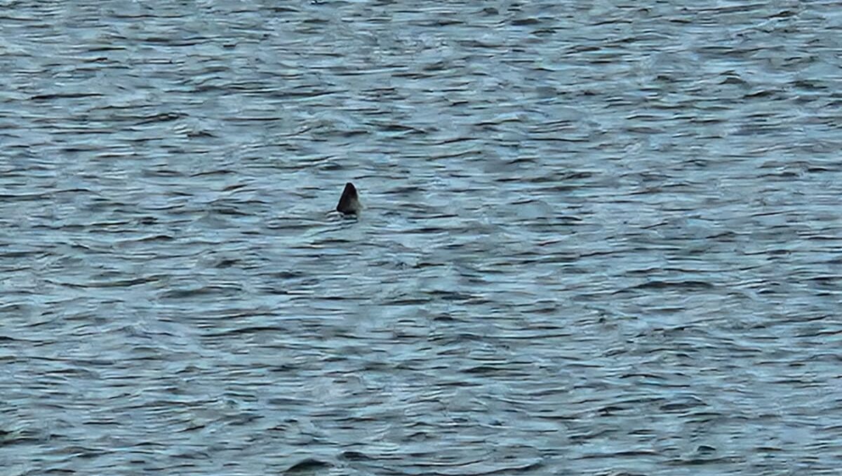 IMG 20231101 WA0003 E1703067431578 1200X679