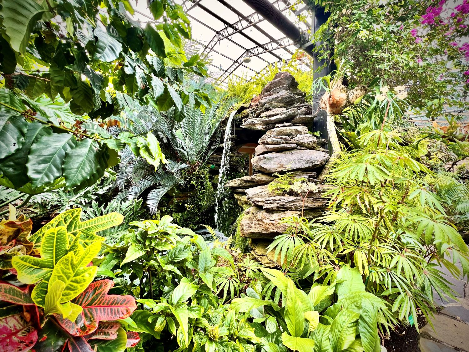 Botanics (1)