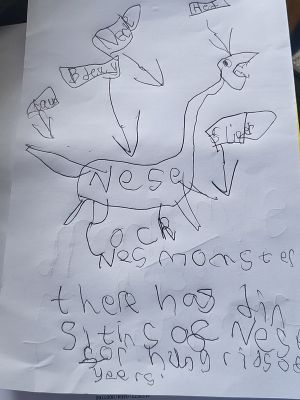 Robin's drawing of Nessie that will help Nessie Hunters during The Quest.