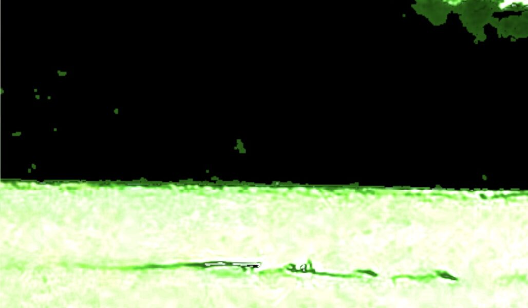 Matt sighting image of Nessie