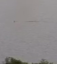 Sighting 1 - sighting from Visit Inverness Loch Ness webcams