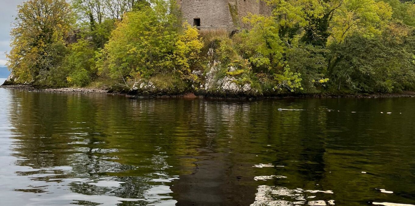 Seal spotted near Urquhart Castle by skipper of Deepscan