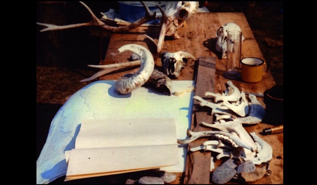 Bones from during the expedition on Loch Morar