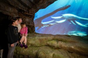 Local family exploring The Loch Ness Centre