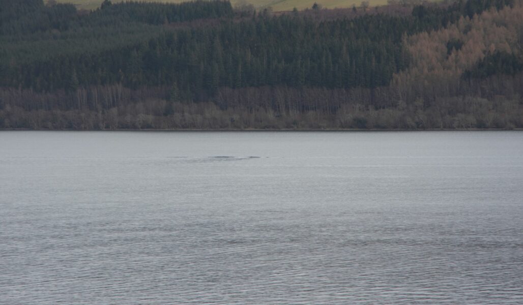 The ‘sea serpent’ humps illusion on Loch Ness from Adrian Shine