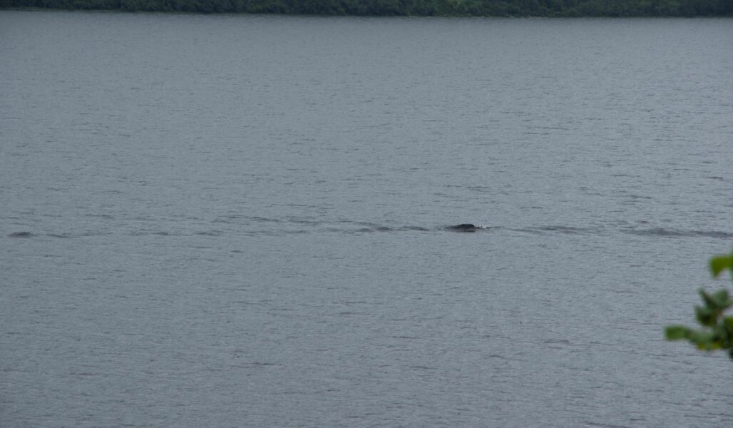 forming a ‘standing wave’ on Loch Ness