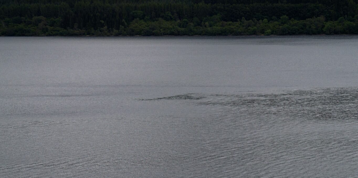 Mistaken Monsters - Windslick -Adrian Shine - The Loch Ness Centre