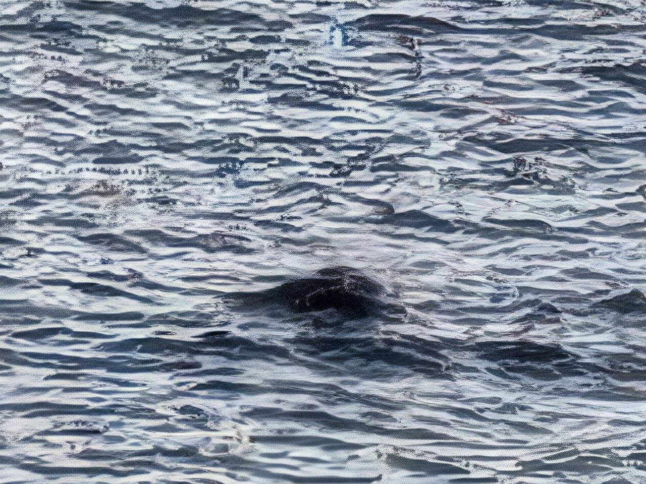 2025 s first potential sighting of Loch Ness Monster spotted at Dores