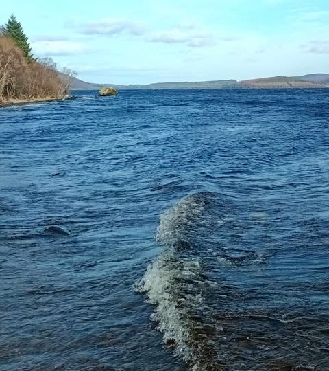 2025 Nessie Sightings