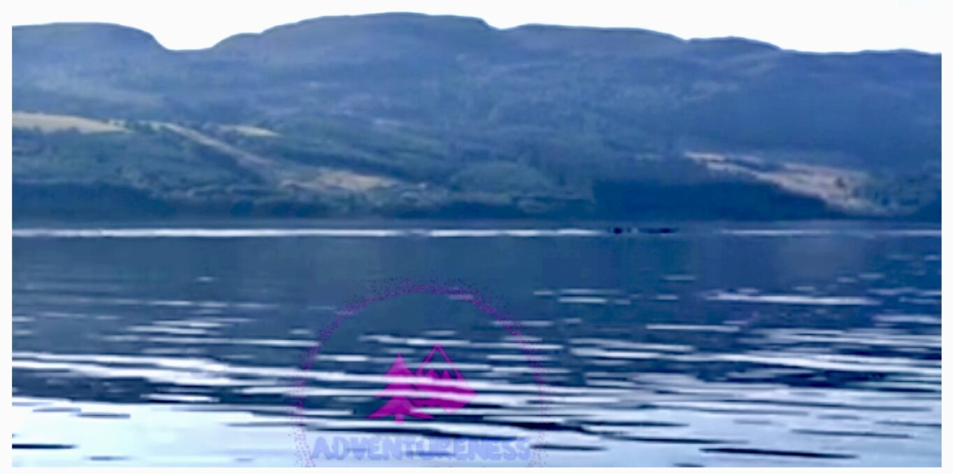 Steve Glew, skipper of Deepscan, sighting of the Loch Ness Monster